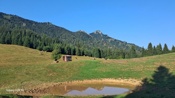 Fotografia z Vv Savoldelli na trase