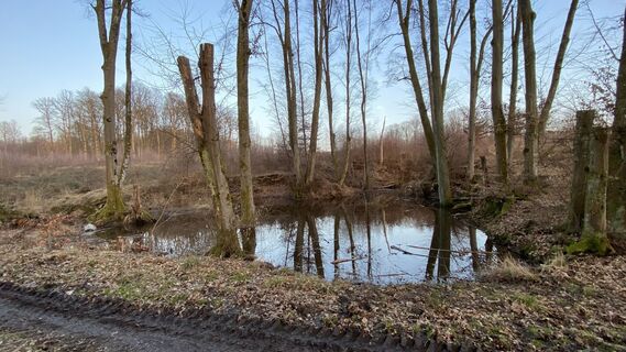 Fotografia z Rupert Hoeppe na trase