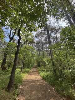 Foto von RS76 entlang der Tour