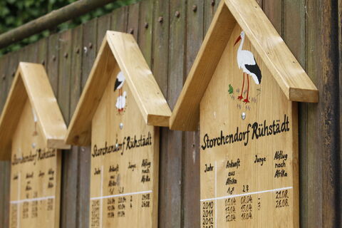 Storchendorf Rühstädt