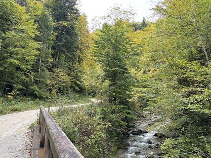 Photo de Heinz Sperl le long du parcours