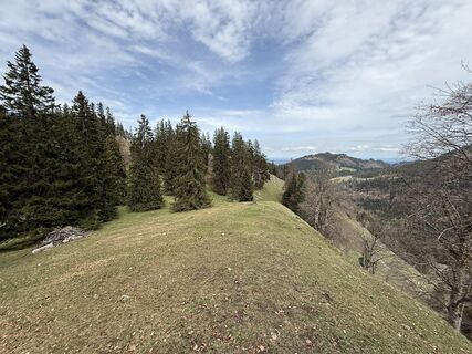 Photo de Phil Puls le long du parcours