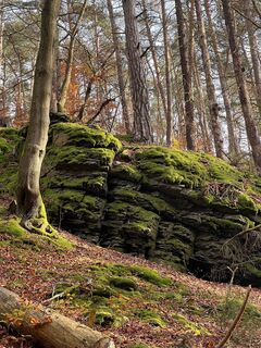 Foto von Karsten Beer entlang der Tour