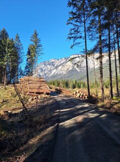 Foto von Dagmar Hofer entlang der Tour