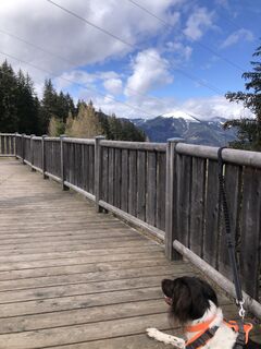Foto von Fiona Berghöfer entlang der Tour