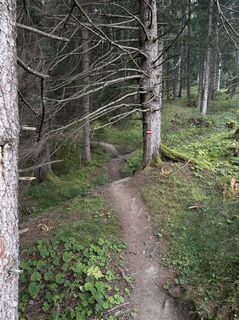 Photo from Jeanette Galeczka along the tour