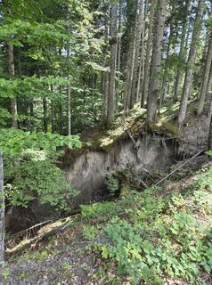 Photo de Daniel W. le long du parcours