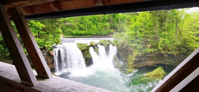 Foto de Klaus Lehner a lo largo del recorrido