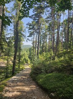 Fotografija s spletne strani Michael Weiss2 na poti