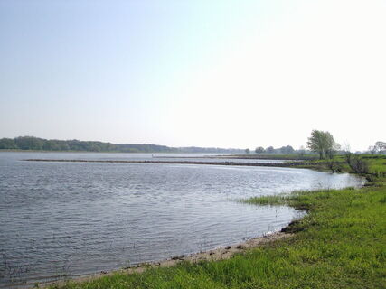 Elbe bei Werben