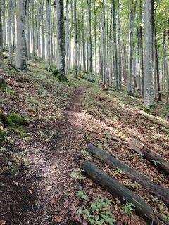 Fotografie z Angelika Silberhuber na trase