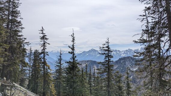 Fotografia z W.K. na trase