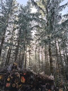 Foto de Sabine a lo largo del recorrido
