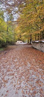 Foto de Johann Schallinger a lo largo del recorrido