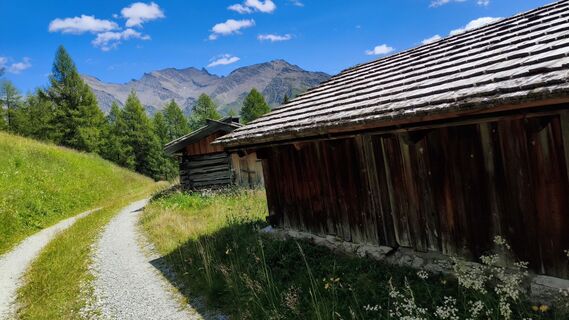 Photo de walrei le long du parcours