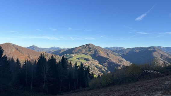 Photo de Sabine Offenberger le long du parcours
