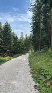 Foto von Heinz Sperl entlang der Tour