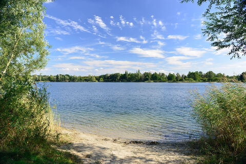 Tankumsee