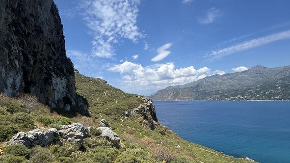 Photo de Xenos le long du parcours
