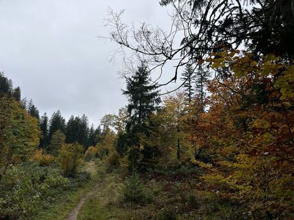 Fotografie z dellermannmichael na trase