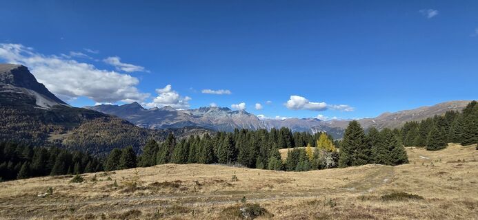 Photo de Andy Schennach le long du parcours
