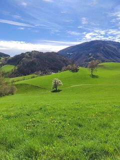 Fotografia z ReginaSt na trase