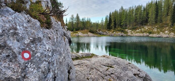 Foto fra Igor napast undervejs på turen