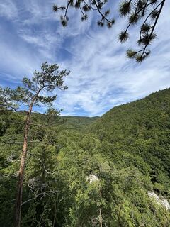 Fotografia z RS76 na trase