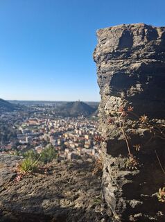 Fotografija s spletne strani Marco Pezzuolo na poti