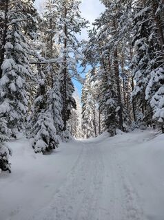 Photo de Sabine Steuxner le long du parcours