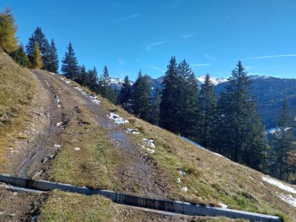 Photo de Andrea Mahringer le long du parcours