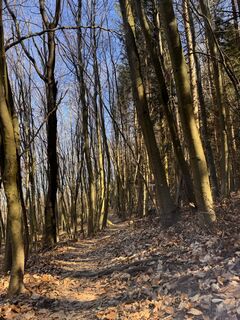 Zdjęcie z Gerhard Piglmann wzdłuż trasy