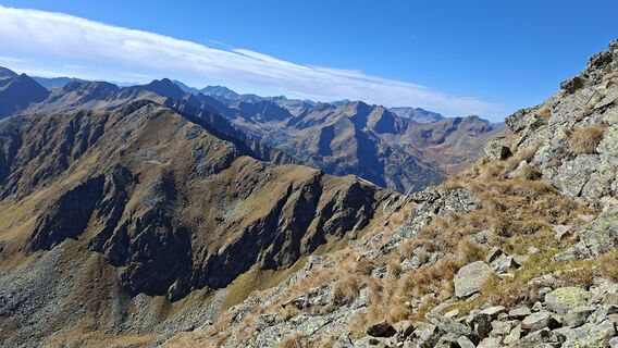 Foto von Fuchs Irene entlang der Tour