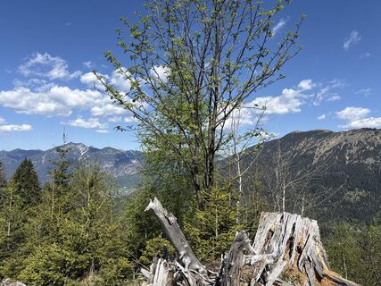 Foto de Similaun a lo largo del recorrido