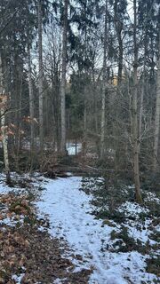 Fotografia z Matthias G74 na trase