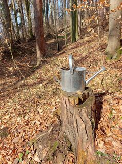 Zdjęcie z Thomas Walzl wzdłuż trasy