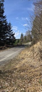 Fotografija s spletne strani Mel 9 na poti