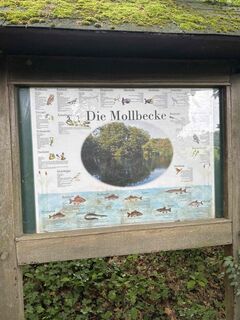 Zdjęcie z Harald Engel wzdłuż trasy