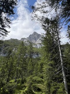 Fotografija s spletne strani Heikoala na poti