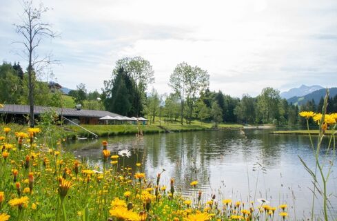 Lauchsee © Petra Astner (5).jpg
