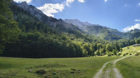 Fotografija s spletne strani otmar strasser na poti