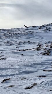 Fotografie z Aga M na trase