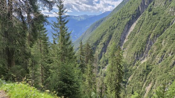 Foto von Prentice entlang der Tour