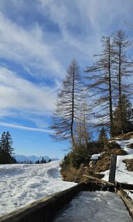 Foto von Grieshofer Gerlinde entlang der Tour