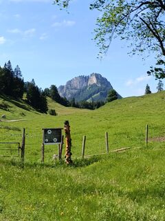 Photo de Jokerle le long du parcours
