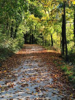 Foto von Horváth Ernő entlang der Tour