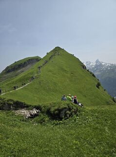 Fotografija s spletne strani Sandra Niewiadomska na poti