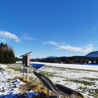 Winterwanderung Panoramaweg