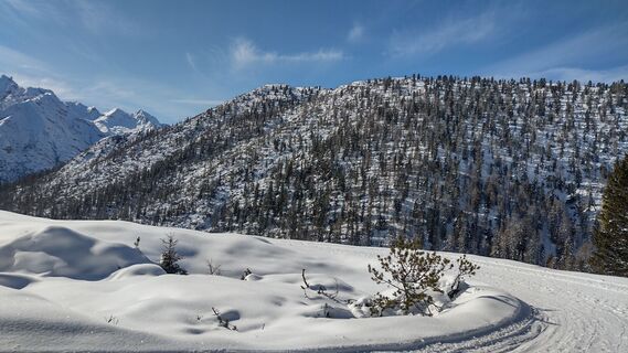 Fotografie z oscarpette82 na trase