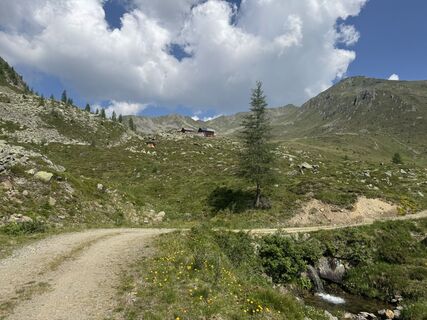 Photo de Gerhard Thaler 2 le long du parcours